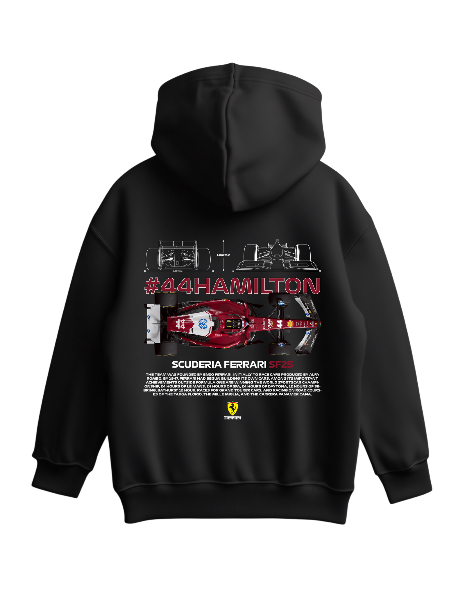Lewis Hamilton F1 Hoodie lewis-hamilton-f1-hoodie