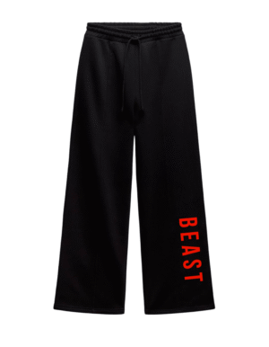 Beast Unisex Straight Fit Baggy Lower Black (Oversized)