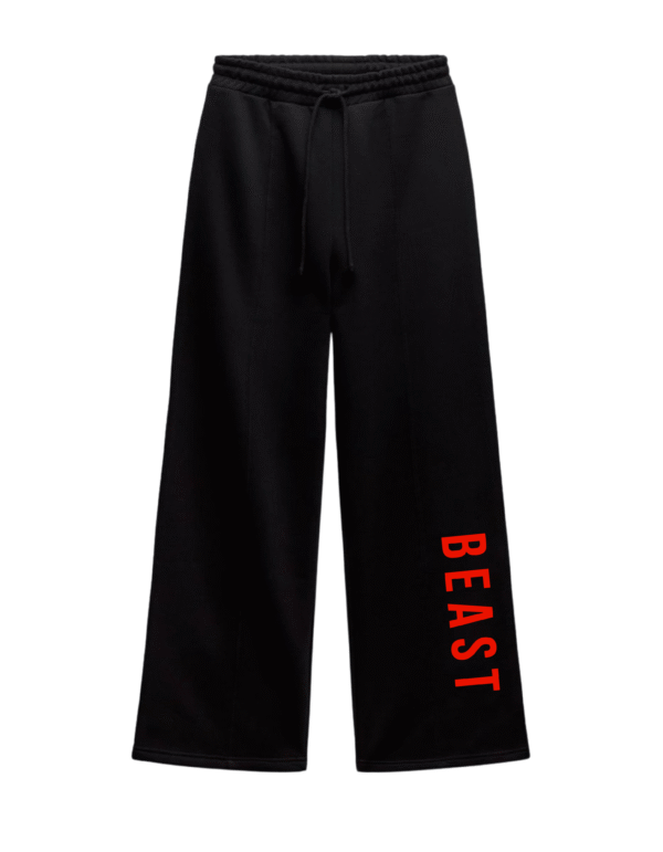 Beast Unisex Straight Fit Baggy Lower Black (Oversized)